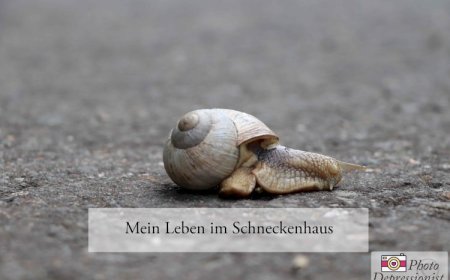 Mein Leben im Schneckenhaus