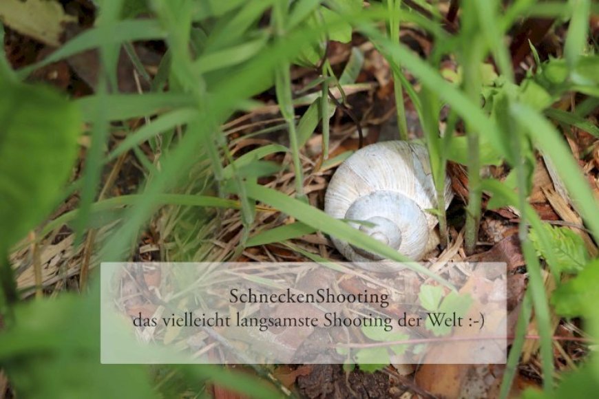 SchneckenShooting - das vielleicht langsamste Shooting der Welt :-)