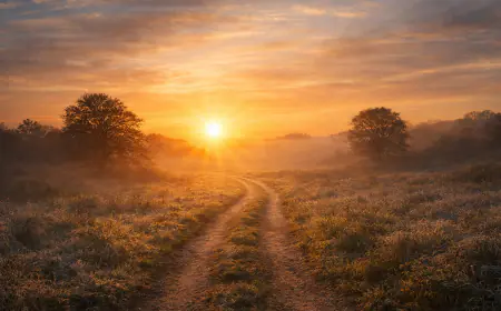 Jahresrückblick 2025: Rund geworden ist nicht perfekt – aber ehrlich 🌿